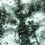 Rain Sounds for Sleeping 10 Hours cover