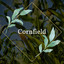 Cornfield cover