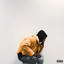 Badder Human cover