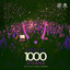 1000 Sterne - Talla 2XLC Extended Trance Rework