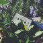 Unknown Title cover