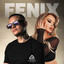Fenix cover