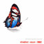 Neum 2002 cover