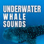 Underwater Whale Sounds cover