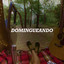 Domingueando cover