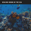Calm Ocean Sounds: Healing Sound of the Sea cover