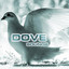 Sounds of Dove cover