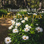 . - PARKS FOUNDATION - DAISY CLASSIC PICKLEBALL FUNDRAISER
