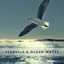 Seagulls & Ocean Waves – Ambient Nature Sounds for Relaxation, Meditation and Deep Sleep cover