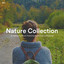 #01 Nature Collection for Setting the Mood, Practicing Mindfulness and Napping cover