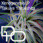 Takuya Yamashita — Xenogenesis (Masaru Saito Remix) cover art