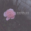 antiflvx — fade cover art