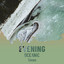 zZz Evening Oceanic Tones zZz cover