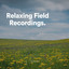 Relaxing Field Recordings cover
