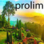 prolim cover