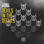 Devils in the Details cover