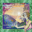 Ozric Tentacle - Space Platform