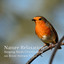 Nature Relaxation: Singing Birds Overlooking on River Stream Vol. 1 cover