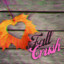 Fall Crush cover