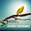Caminito cover