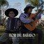 Flor del Bañado cover