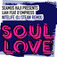 Seamus Haji et Ijah - Nitelife (DJ Steaw Extended Remix) (avec D'Empress)