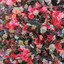 Album cover of Пожалуйста, только не домой by Автоспорт