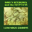 Luminous Groove cover