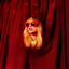 Song album cover