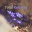 30 New Age Music: Total Relaxing, Stress Relief, Meditation & Yoga, Zen Tracks, Spa Music Paradise cover