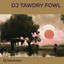 Dj Tawdry Fowl cover