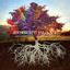 Digging Deep: Subterranea cover