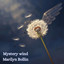 Marilyn Bollin - Mystery Wind