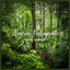 Lluvia Relajante en el Bosque cover