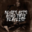 Blues Hits Road Trip Playlist cover