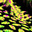 Acid Viewer