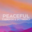 Peaceful Tchaikovsky & Shostakovich cover