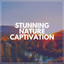 Stunning Nature Captivation cover