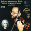 Partita III, BWV 1006: IV. Menuet 1
