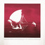 Prosa - Polynation Remix