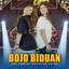 Bojo Biduan cover