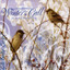 Unknown Title cover
