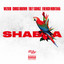 Wizkid - habba ft. Chris Brown, Trey Songz & French Montana | 36NG.com.ng
