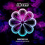 Beyond Limits — Selecta cover art