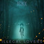 Illegal Lovers