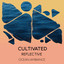 zZz Cultivated Reflective Ocean Ambiance zZz cover