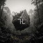 Mist - Extended