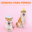 Sonidos Para Perros: Sonidos Relajantes De La Lluvia Sólo Para Perros cover