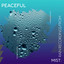 zZz Peaceful Mist: Rain Recordings from the Marsh zZz cover