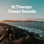 12 Therapy Ocean Sounds cover